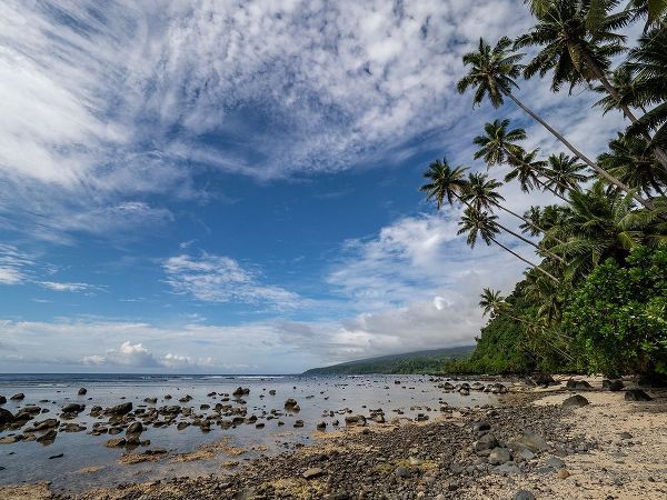 Fiji-Taveuni Island Beach with palm trees and white clouds